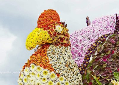 Tomohon Flower Festival